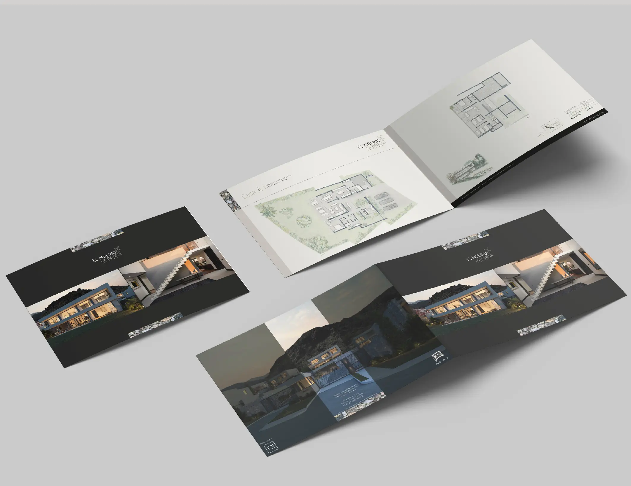 Portafolio La pATOTA